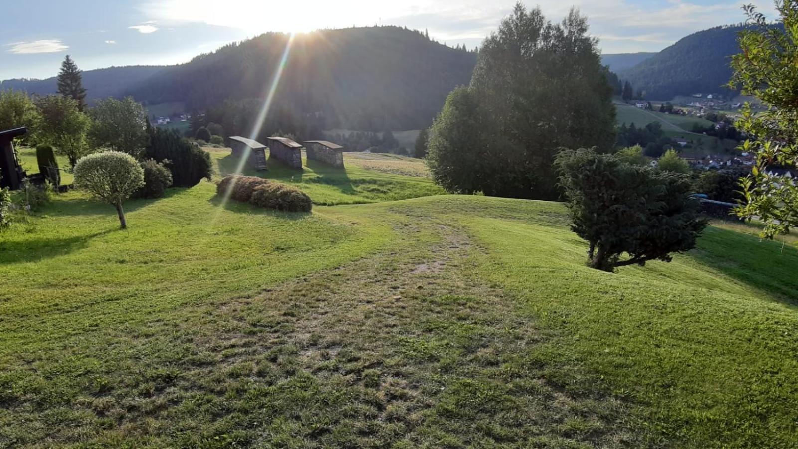 Ferienhaus Seefried Baiersbronn Esterno foto