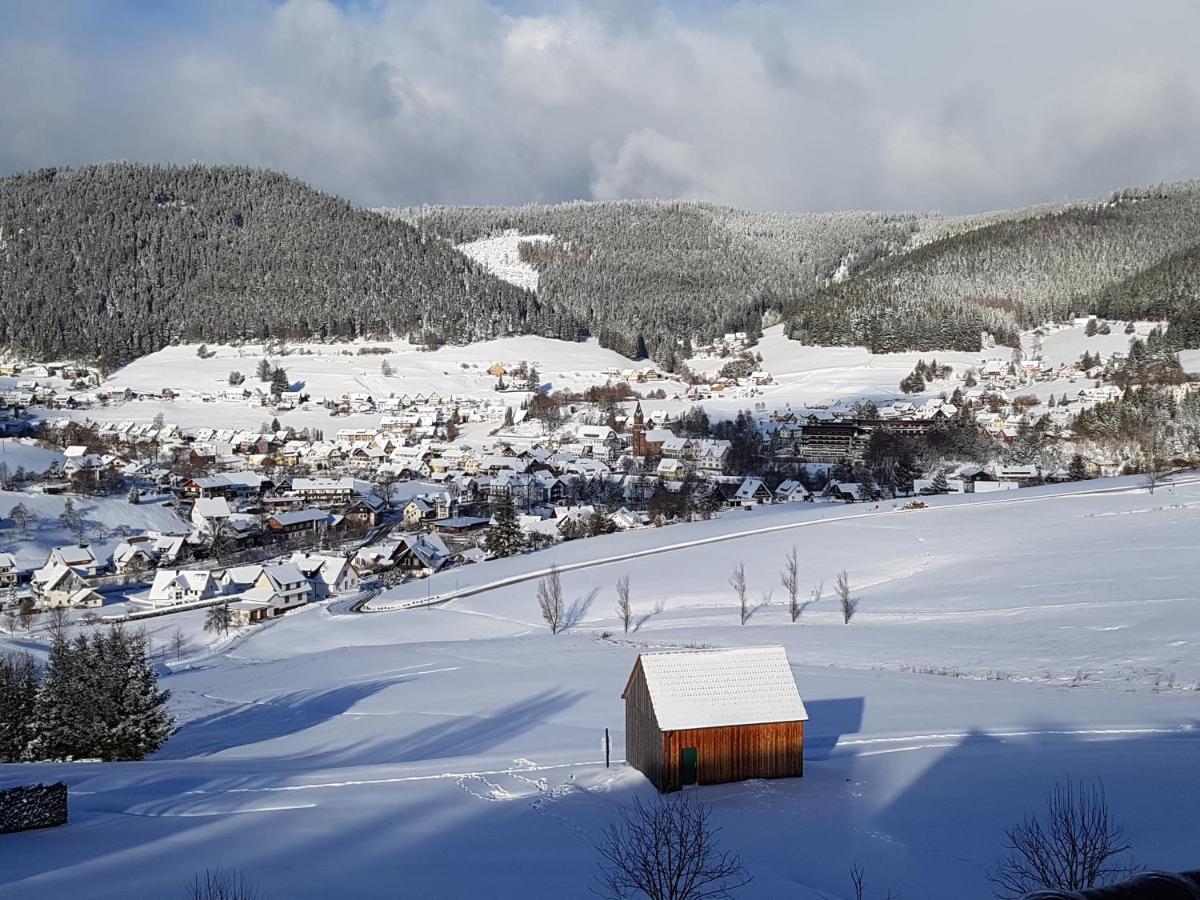 Ferienhaus Seefried Baiersbronn Esterno foto