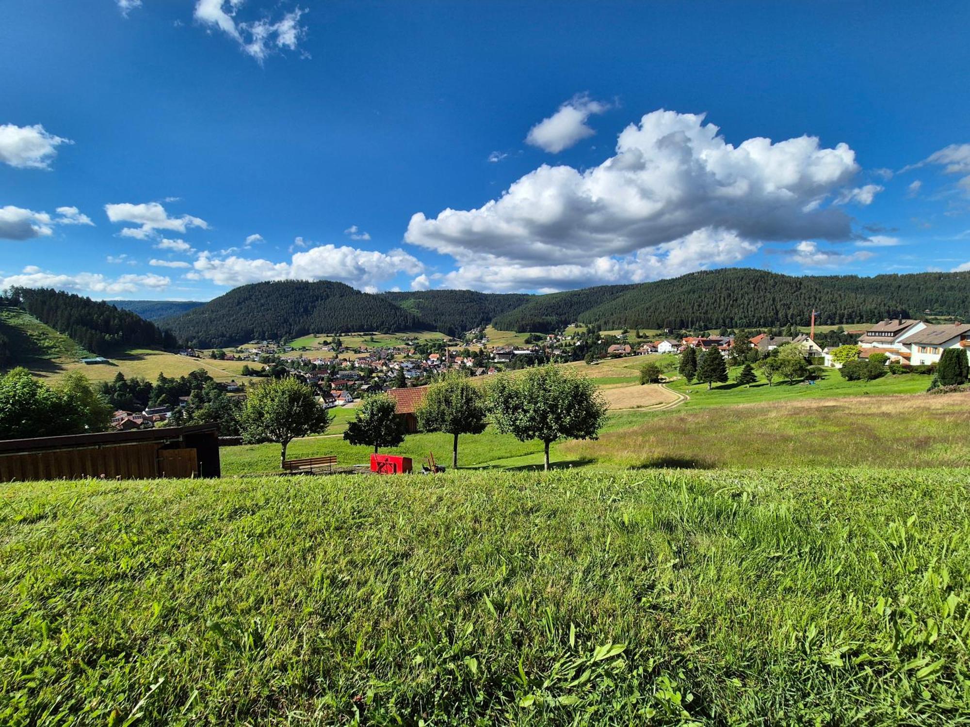 Ferienhaus Seefried Baiersbronn Esterno foto